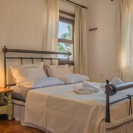 Odysseas Pelion House *